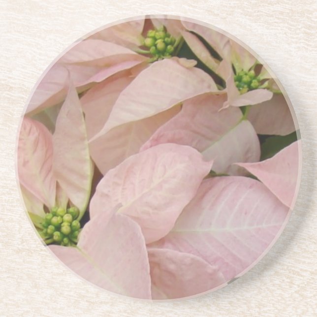 Baby Pink Poinsettia Coaster (Front)