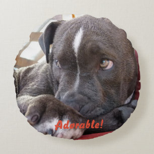 Baby Pitbull Puppy Round Pillow
