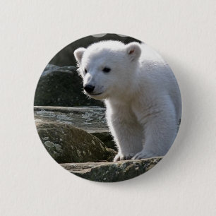 Baby Polar Bear Button