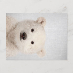 Baby Polar Bear Colourful Holiday Postcard
