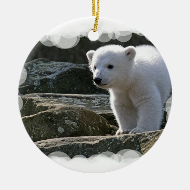 Baby Polar Bear Ornament (Front)
