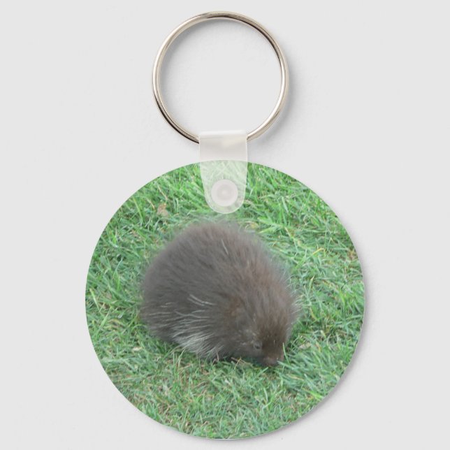 Baby Porcupine Keychain (Front)