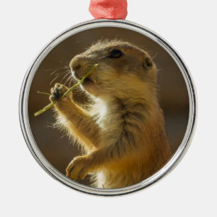 Baby prairie dog eating, Arizona Metal Ornament