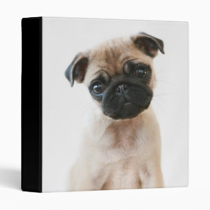 Baby Pug Portrait Binder