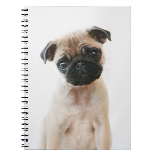 Baby Pug Portrait Notebook (Front)