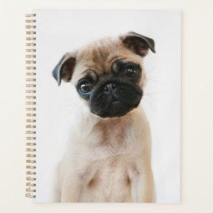 Baby Pug Portrait Planner