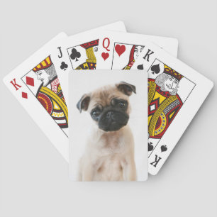 Baby Pug Portrait Playing Cards