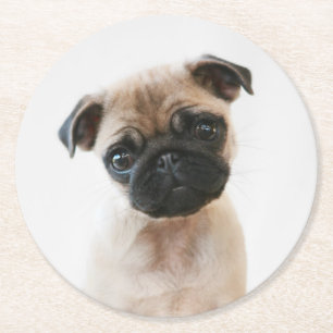 Baby Pug Portrait Round Paper Coaster