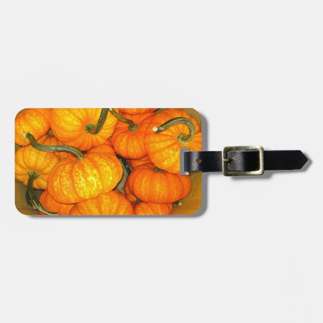 Baby Pumpkin Basket Luggage TAg (Front Horizontal)