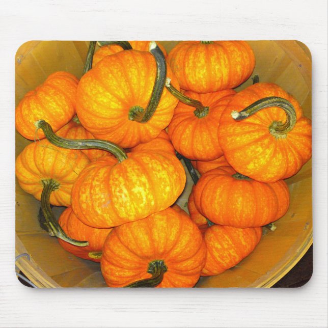 Baby Pumpkin Basket Mousepad (Front)