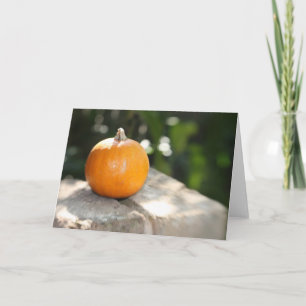Baby Pumpkin Holiday Card