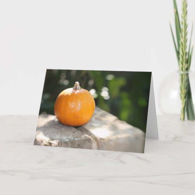 Baby Pumpkin Holiday Card (Front)