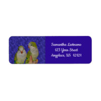 Baby Quaker Parrot Pair Animal
