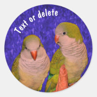 Baby Quaker Parrots Animal Personalized