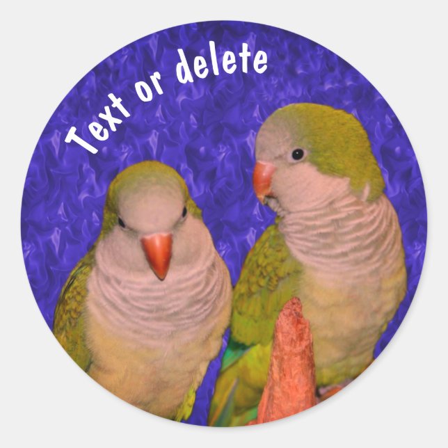 Baby Quaker Parrots Animal Personalized Classic Round Sticker (Front)