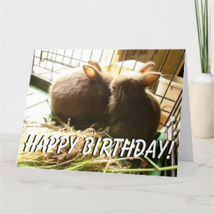 Baby Rabbits Animals Bunnies Big Greeting Card