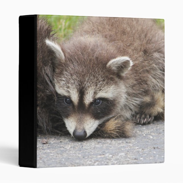 Baby Raccoon Binder (Front/Spine)