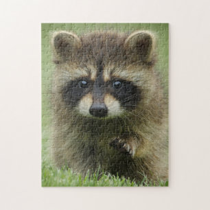 Baby Raccoon Jigsaw Puzzle