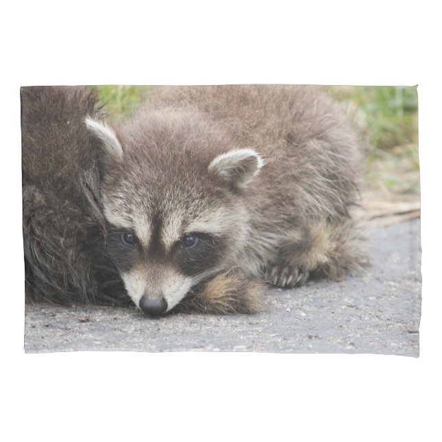 Baby Raccoon Pillowcase (Front)