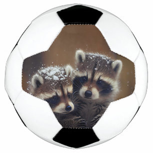 Baby Raccoons Huddle in Falling Snow Soccer Ball