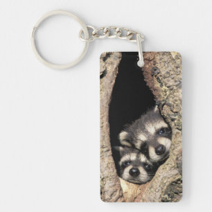 Baby raccoons in tree cavity Procyon Keychain