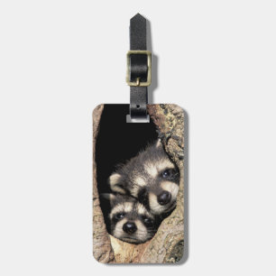 Baby raccoons in tree cavity Procyon Luggage Tag
