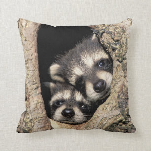 Baby raccoons in tree cavity Procyon Throw Pillow