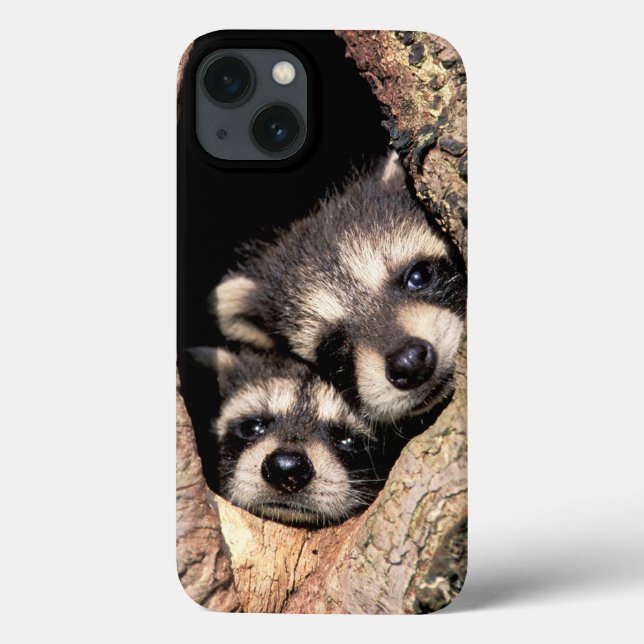 Baby Raccoons Peeking out of Tree Case-Mate iPhone Case (Back)