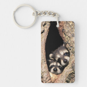 Baby Raccoons Peeking out of Tree Keychain