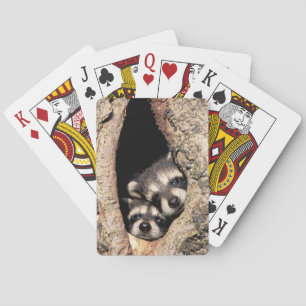 Baby Raccoons Peeking out of Tree Playing Cards