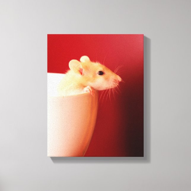 Baby Rat Canvas Print (Front)