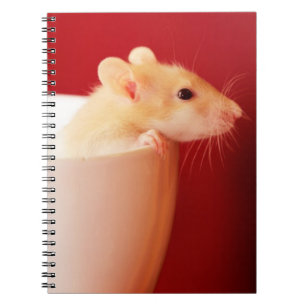 Baby Rat Notebook