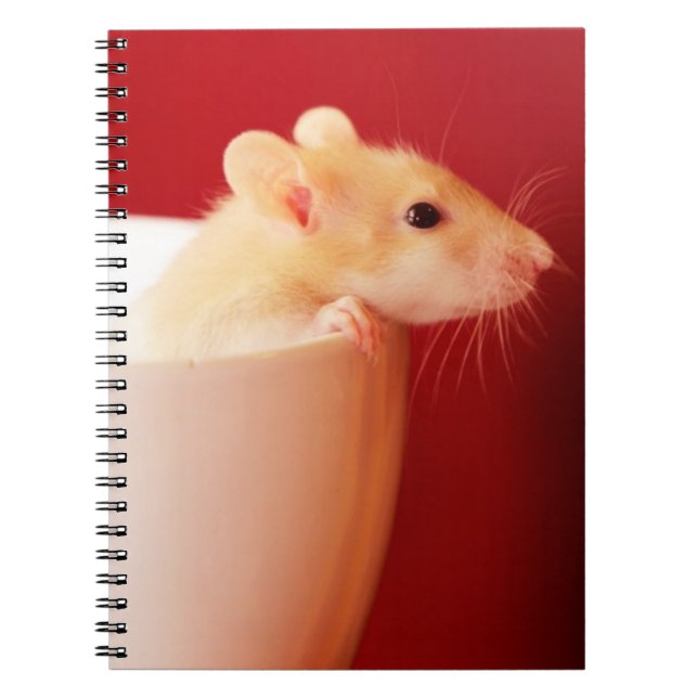 Baby Rat Notebook (Front)