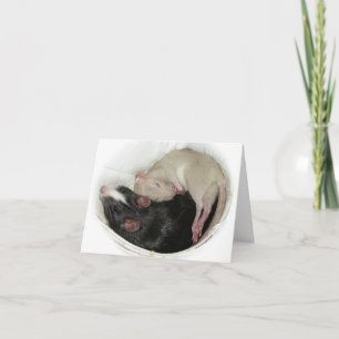 Baby Rat Sleeping Thank You Card