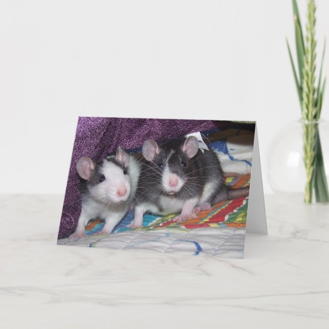 Baby Rats ~Card Card (Front)