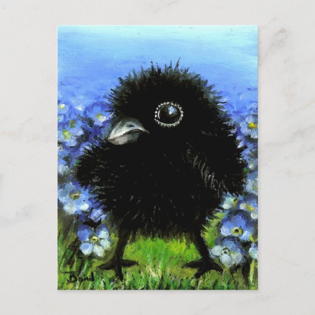 Baby raven postcard (Front)