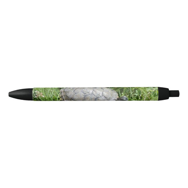 Baby Red Eared Slider Turtle Black Ink Pen (Front)