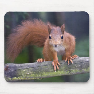 Baby Red Mousemat Mouse Pad