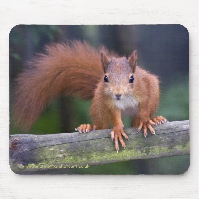 Baby Red Mousemat Mouse Pad (Front)