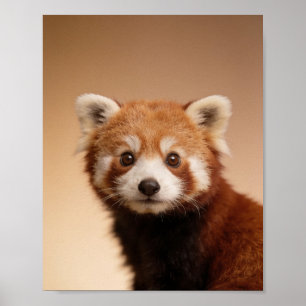 Baby Red Panda Portrait – Cute Nursery Animal Wall Poster