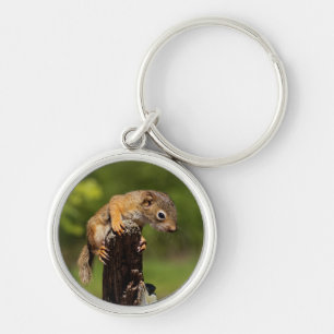 Baby Red Squirrel Keychain