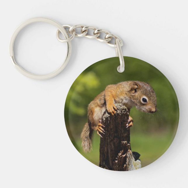 Baby Red Squirrel Keychain (Front)