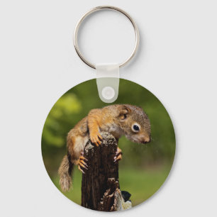 Baby Red Squirrel Keychain