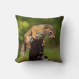 Baby Red Squirrel Throw Pillow
