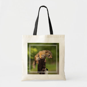 Baby Red Squirrel Tote Bag
