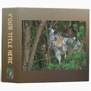 Baby Red Tailed Hawk Binder