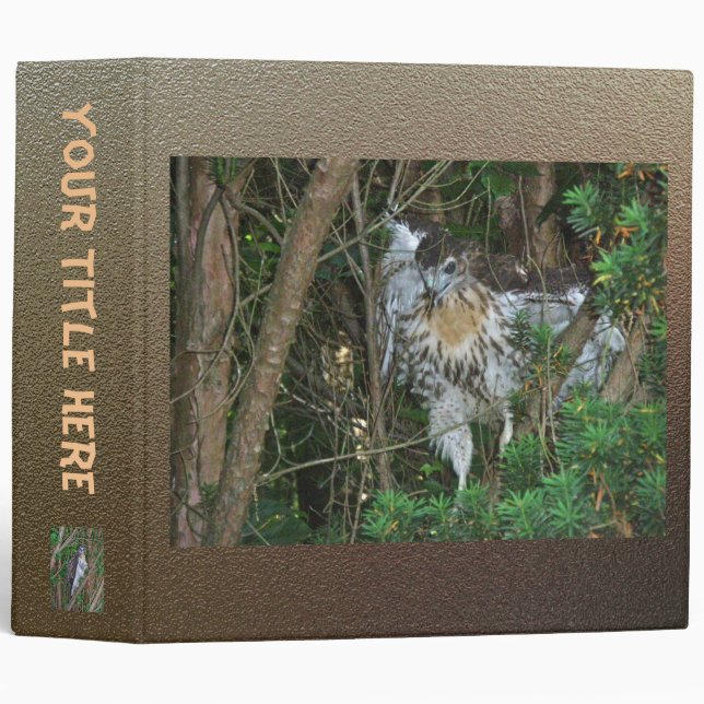 Baby Red Tailed Hawk Binder (Front/Spine)