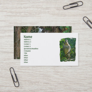 Baby Red Tailed Hawk Business Card
