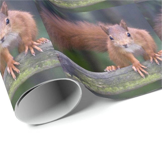 Baby Red Wrapping Paper (Roll Corner)