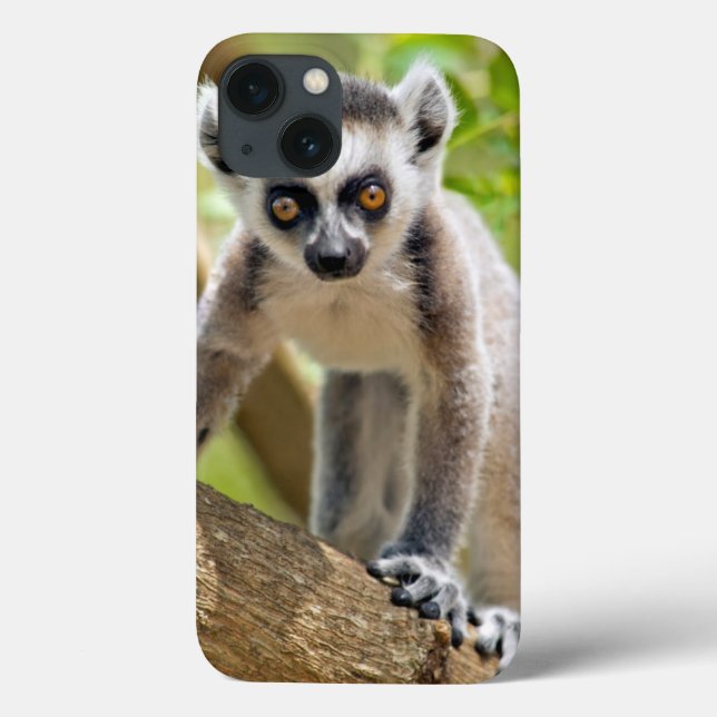 Baby ring-tailed lemur Case-Mate iPhone case (Back)
